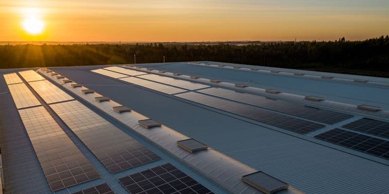 Avances en la Energía Renovable en 2023
