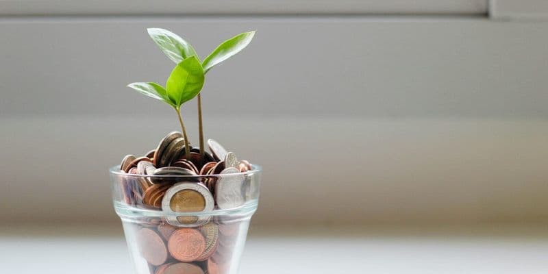 La inflación en Países Bajos bajó al 2,9 % en julio