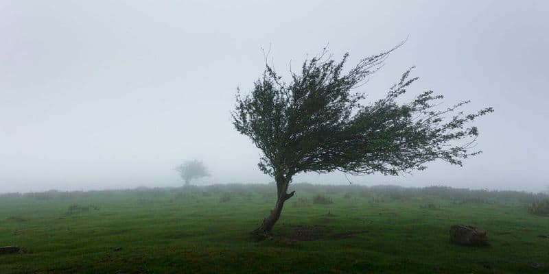 Fuertes vientos de hasta 110 km/h afectarán el norte de los Países Bajos