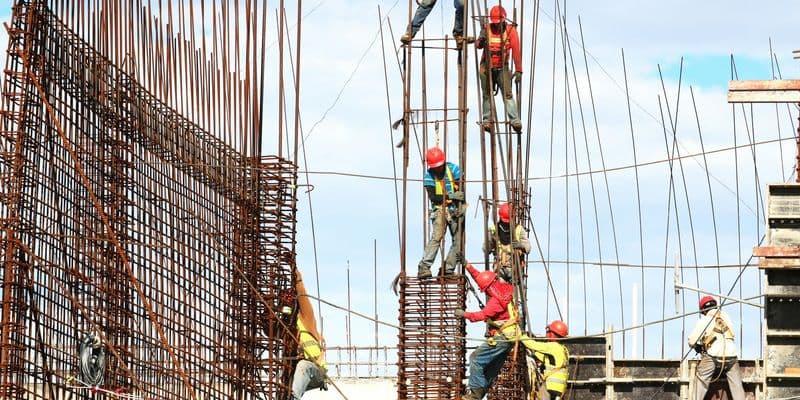 La escasez de mano de obra: principal problema de la industria holandesa