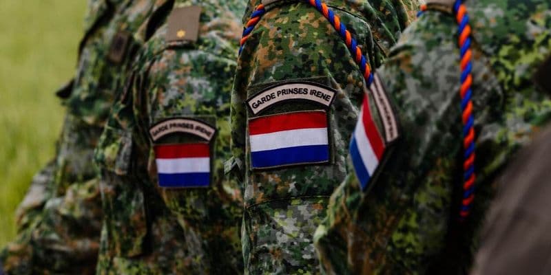Países Bajos y Polonia firmarán un pacto militar ante la amenaza rusa