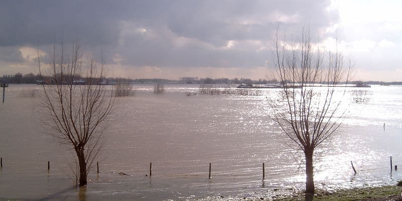 Río Waal en Zaltbommel